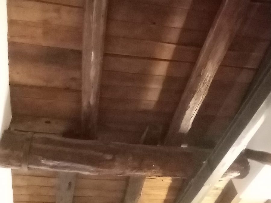 Trattamento antitarlo di un soffitto in legno