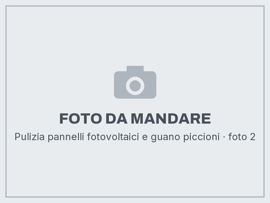 Pulizia pannelli fotovoltaici e guano piccioni: foto da mandare