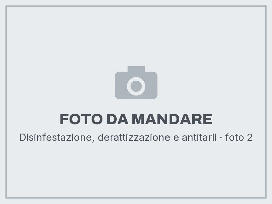 Disinfestazione, derattizzazione e antitarli: foto da mandare