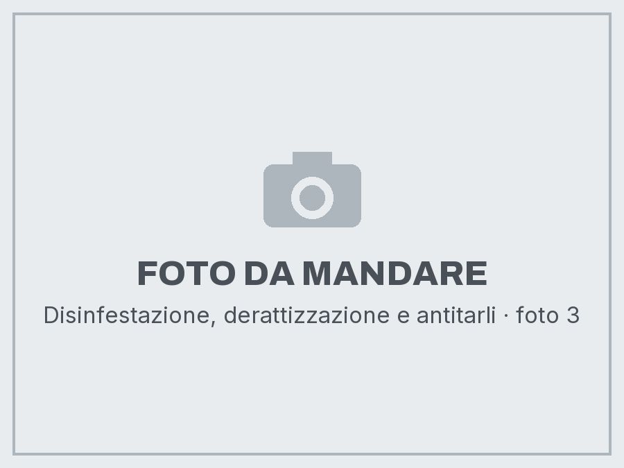 Disinfestazione, derattizzazione e antitarli: foto da mandare